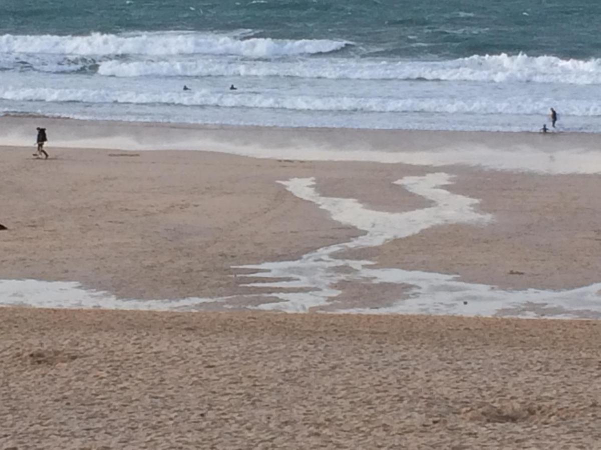 The Grey Mullet * St Ives (Cornwall)